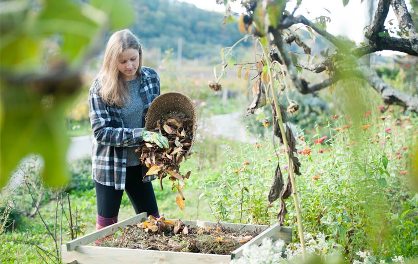 Le compost naturel fait maison